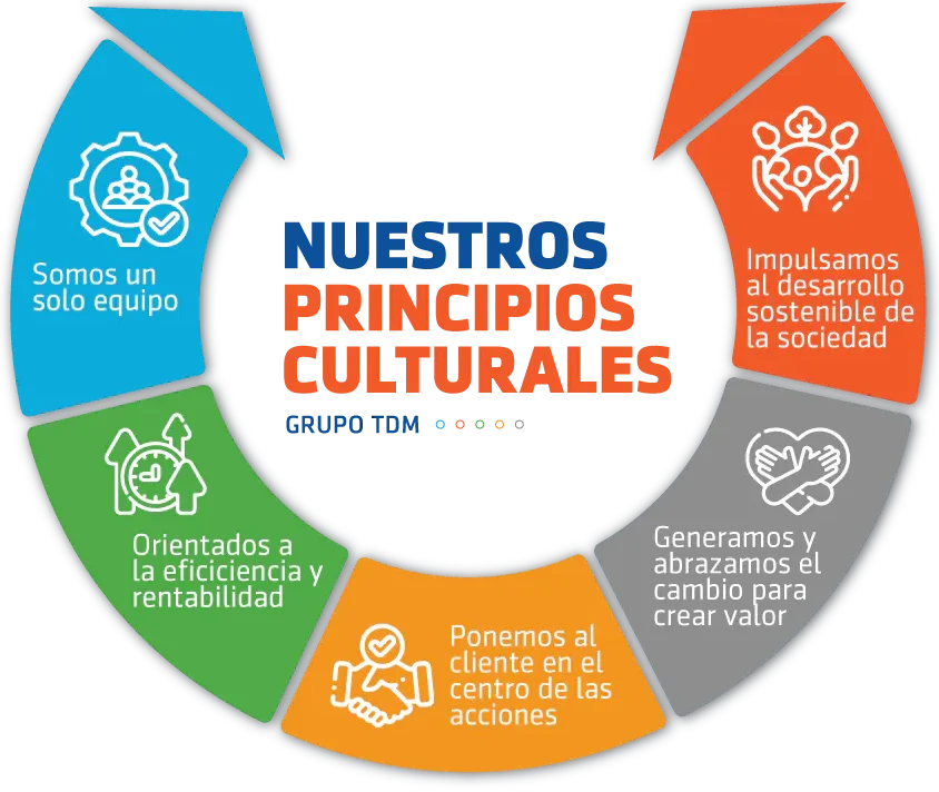 Principios Culturales Grupo TDM