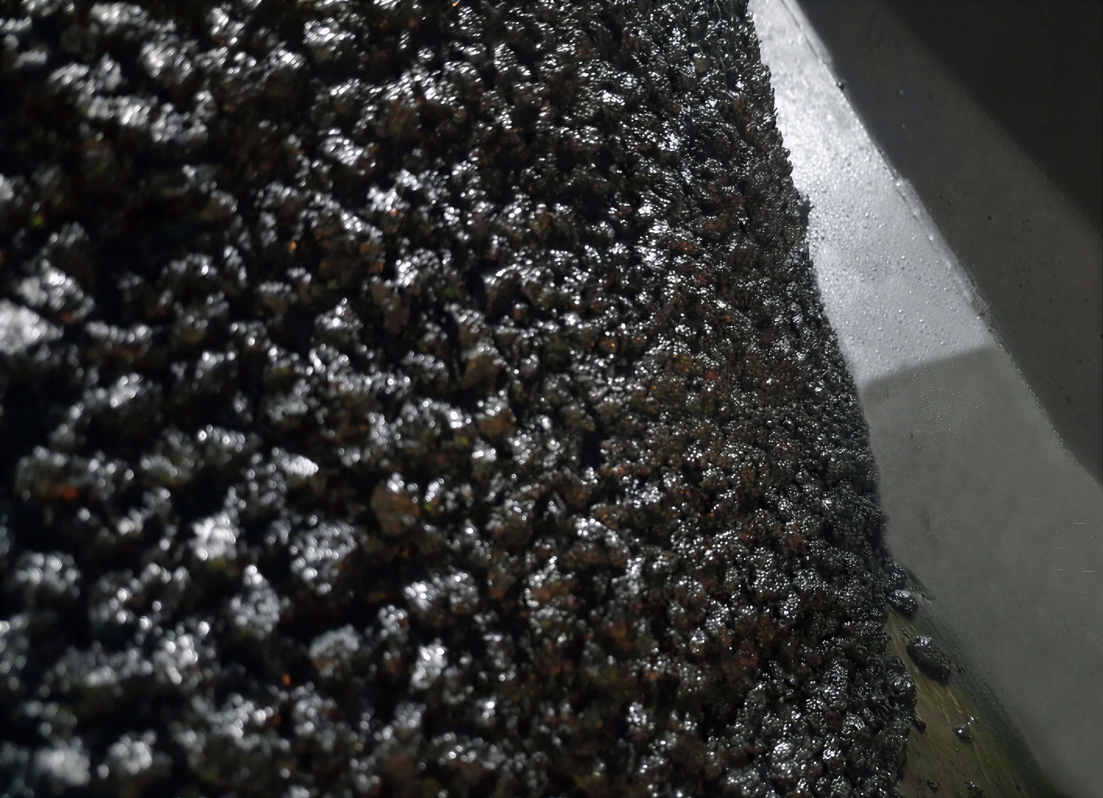 Asfaltos modificados