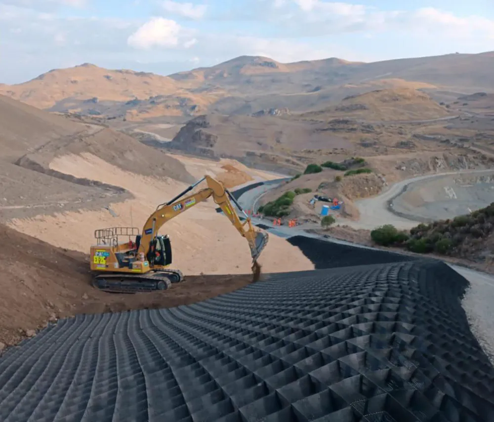 Desarrollo Sostenible - Grupo TDM