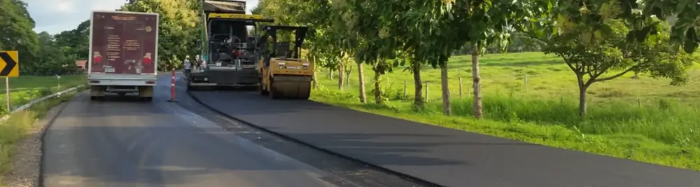 Geogrids for crack reflection