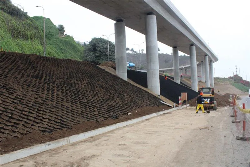 Revegetación de taludes